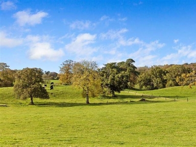 Lands In Kilodiernan - C. 24 Acres, Glebe, Puckane, Co. Tipperary