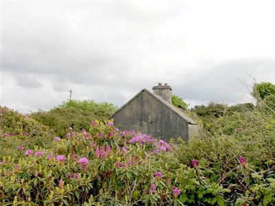 Cregganmore, Belderrig, Ballina, Mayo