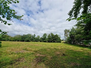 0.5 Acre Site, Moyriesk, Quin, Co. Clare