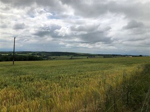 Cathaganstown, Killenaule, County Tipperary