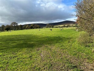 1 Acre Site SPP at Glasnamullen, Kilmacanogue, Wicklow