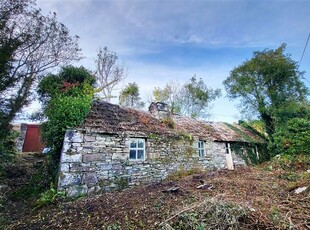 Bofeenaun, Foxford, Mayo