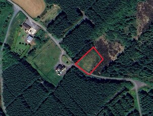 Castlerea Mountain, Moydow, Longford, Longford