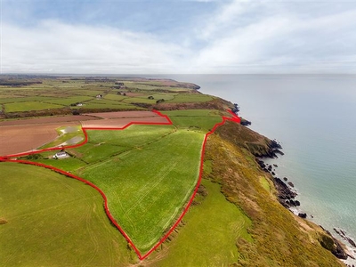 Circa 49.5 acres, Ballyeelinan, Ardmore, Waterford