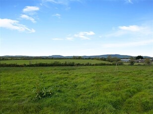 Cloneranny, Castletown, Gorey, Wexford