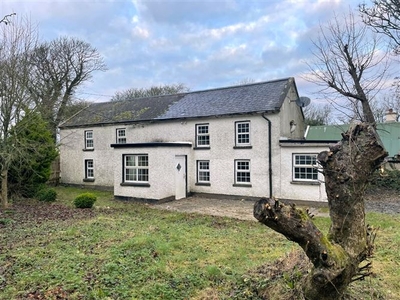 Bannow Moor, Bannow, Co. Wexford